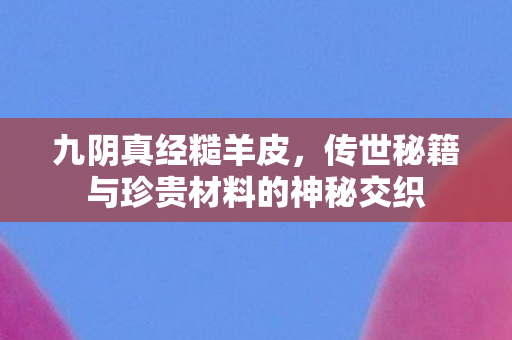九阴真经糙羊皮,传世秘籍与珍贵材料的神秘交织 九阴真经糙羊皮,传世秘籍与珍贵材料的神秘交织