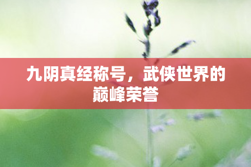 九阴真经称号,武侠世界的巅峰荣誉 九阴真经称号,武侠世界的巅峰荣誉