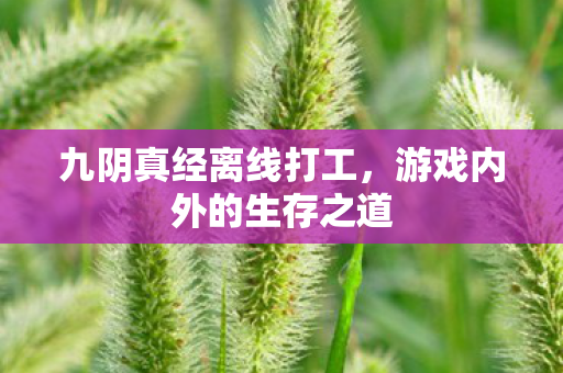 九阴真经离线打工，游戏内外的生存之道