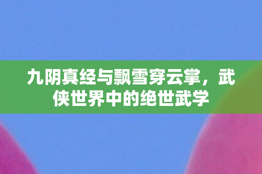 九阴真经与飘雪穿云掌，武侠世界中的绝世武学