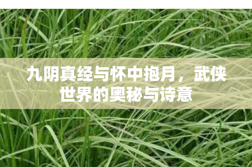 九阴真经与怀中抱月，武侠世界的奥秘与诗意
