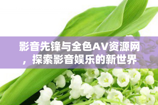 影音先锋与全色AV资源网，探索影音娱乐的新世界