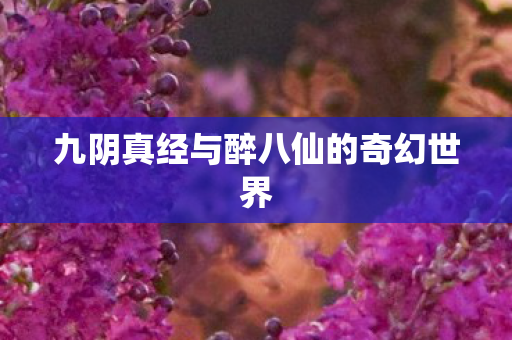 九阴真经与醉八仙的奇幻世界