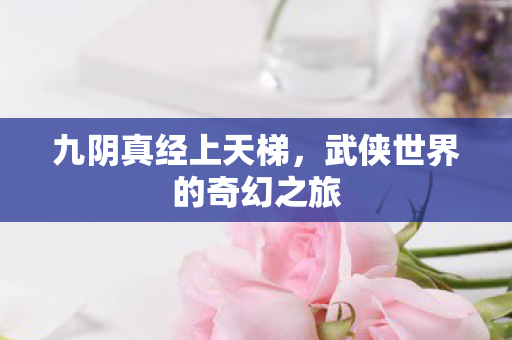 九阴真经上天梯,武侠世界的奇幻之旅 九阴真经上天梯,武侠世界的奇幻之旅