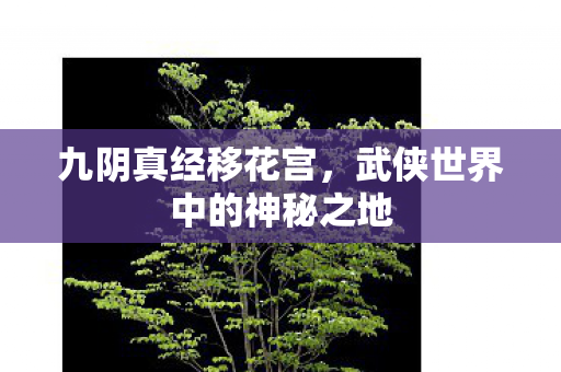 九阴真经移花宫,武侠世界中的神秘之地 九阴真经移花宫,武侠世界中的神秘之地