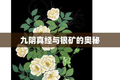 九阴真经与银矿的奥秘