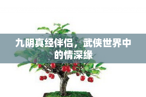 九阴真经伴侣，武侠世界中的情深缘