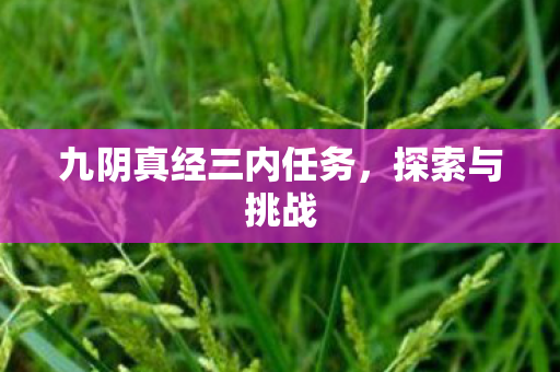 九阴真经三内任务，探索与挑战