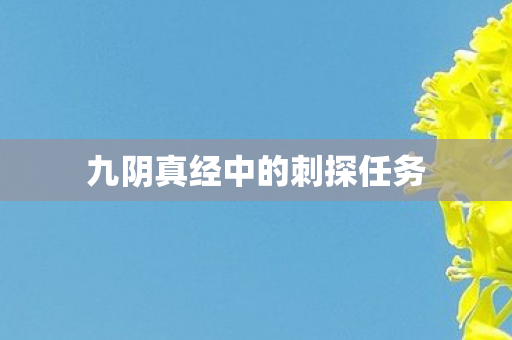 九阴真经中的刺探任务 九阴真经中的刺探任务