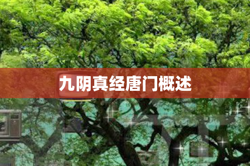 九阴真经唐门概述 九阴真经唐门概述