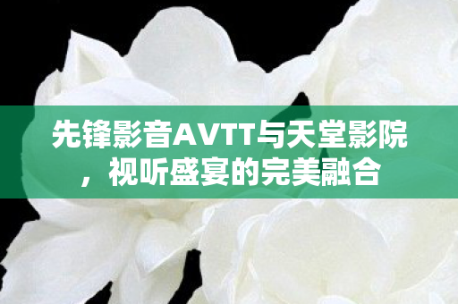 先锋影音AVTT与天堂影院，视听盛宴的完美融合