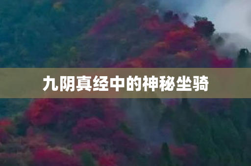 九阴真经中的神秘坐骑