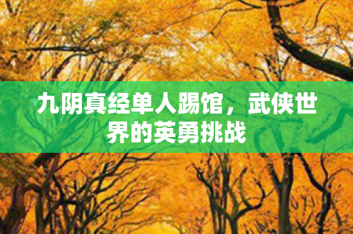 九阴真经单人踢馆，武侠世界的英勇挑战