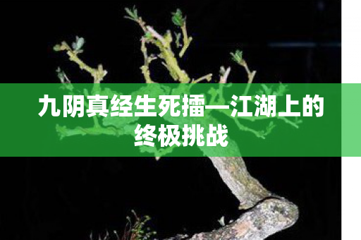 九阴真经生死擂—江湖上的终极挑战 九阴真经生死擂—江湖上的终极挑战