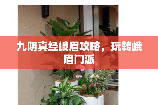 九阴真经峨眉攻略，玩转峨眉门派