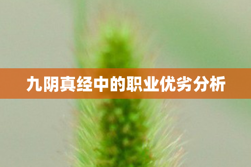 九阴真经中的职业优劣分析