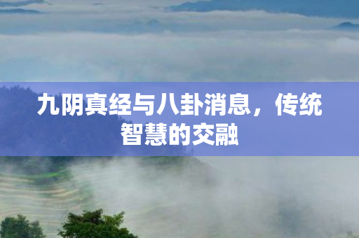 九阴真经与八卦消息，传统智慧的交融