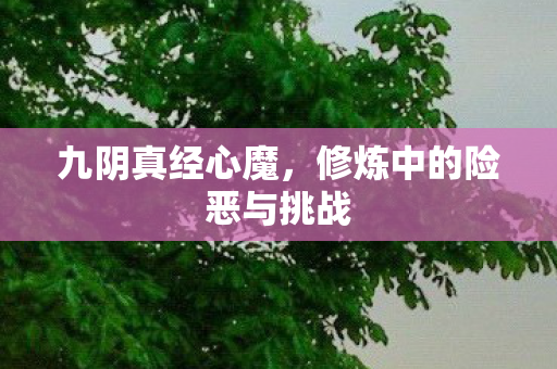 九阴真经心魔，修炼中的险恶与挑战