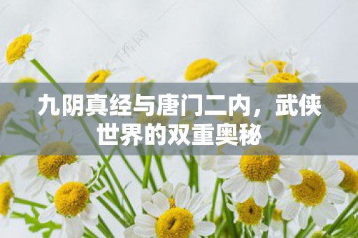 九阴真经与唐门二内，武侠世界的双重奥秘