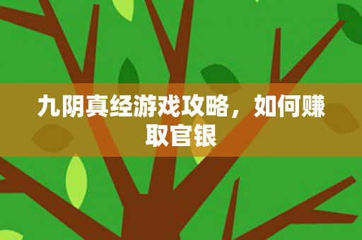 九阴真经游戏攻略,如何赚取官银 九阴真经游戏攻略,如何赚取官银