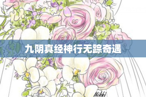 九阴真经神行无踪奇遇