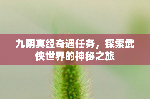 九阴真经奇遇任务，探索武侠世界的神秘之旅