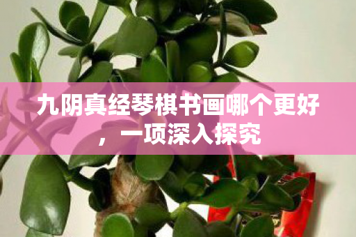 九阴真经琴棋书画哪个更好，一项深入探究