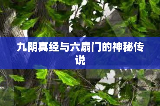 九阴真经与六扇门的神秘传说