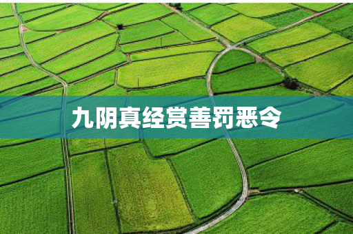 九阴真经赏善罚恶令