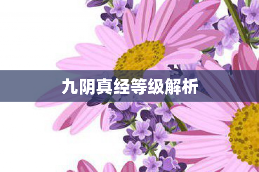 九阴真经等级解析