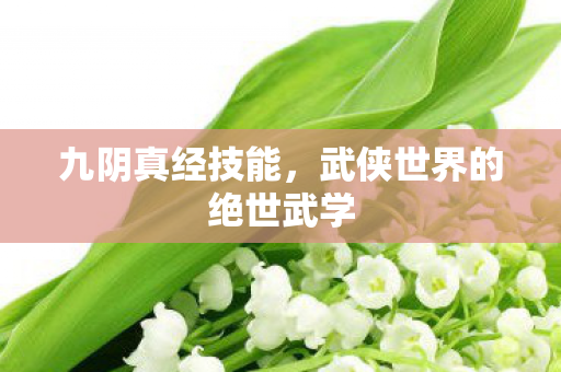 九阴真经技能，武侠世界的绝世武学