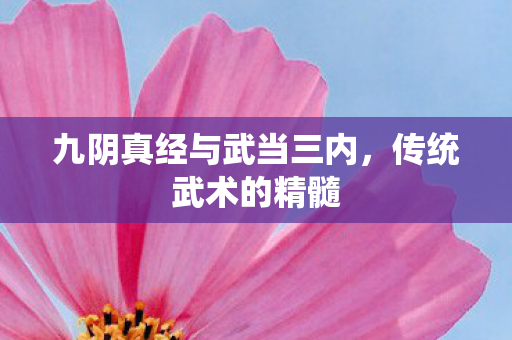 九阴真经与武当三内，传统武术的精髓