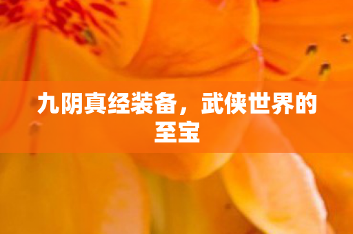 九阴真经装备,武侠世界的至宝 九阴真经装备,武侠世界的至宝