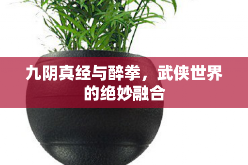 九阴真经与醉拳，武侠世界的绝妙融合