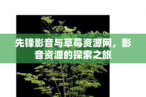 先锋影音与草莓资源网，影音资源的探索之旅