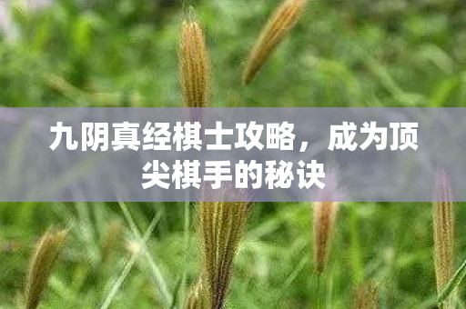 九阴真经棋士攻略，成为顶尖棋手的秘诀