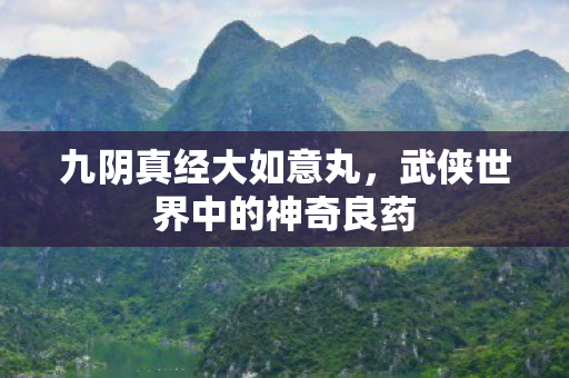 九阴真经大如意丸，武侠世界中的神奇良药