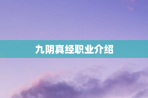 九阴真经职业介绍 九阴真经职业介绍