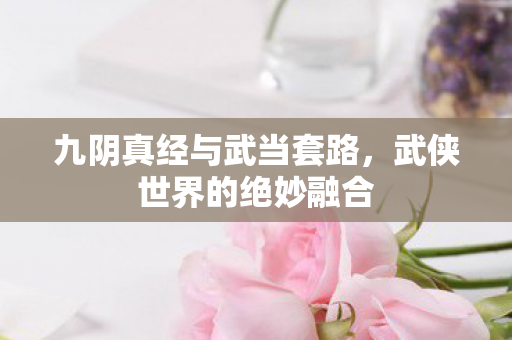 九阴真经与武当套路，武侠世界的绝妙融合