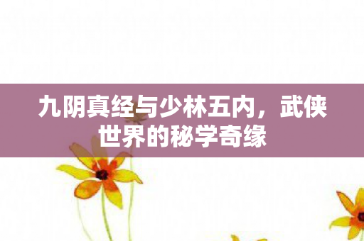 九阴真经与少林五内，武侠世界的秘学奇缘