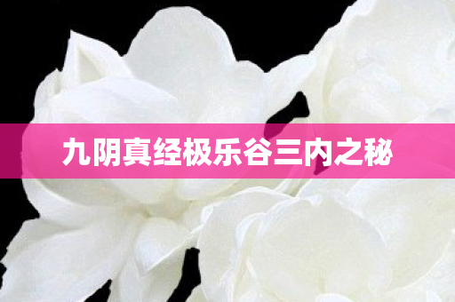 九阴真经极乐谷三内之秘