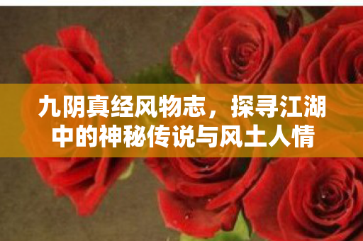 九阴真经风物志，探寻江湖中的神秘传说与风土人情