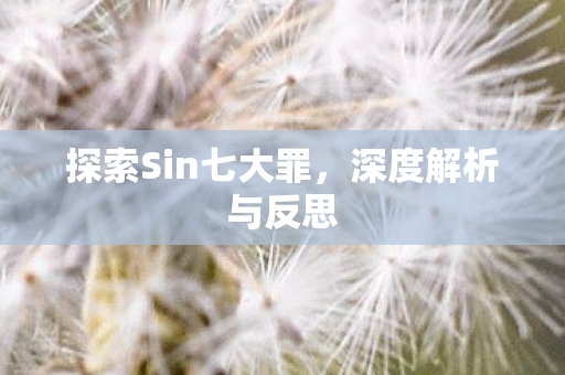 探索Sin七大罪，深度解析与反思