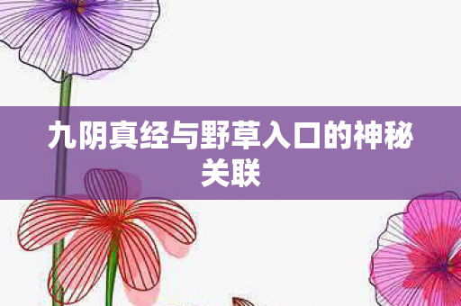 九阴真经与野草入口的神秘关联