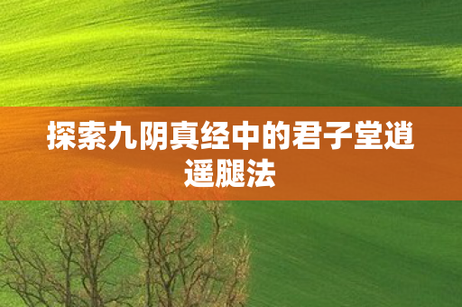 探索九阴真经中的君子堂逍遥腿法