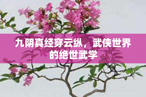 九阴真经穿云纵，武侠世界的绝世武学