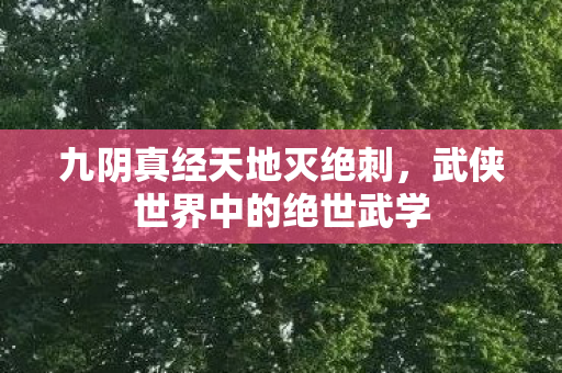 九阴真经天地灭绝刺，武侠世界中的绝世武学
