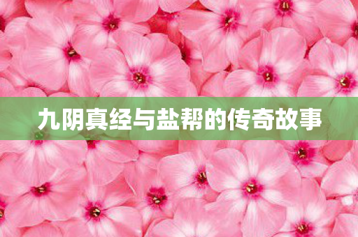九阴真经与盐帮的传奇故事 九阴真经与盐帮的传奇故事