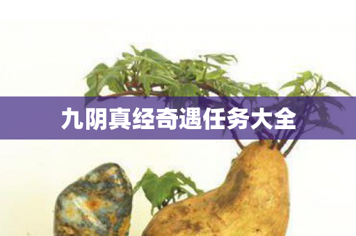 九阴真经奇遇任务大全