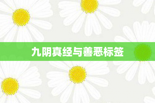 九阴真经与善恶标签